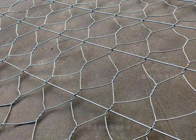 中国 Gabion Mesh Boxes 50g-1200g/m2 Woven Double Twist Hexagonal Wire Mesh for Plants Protection 販売のため