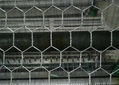 China Electro Galvanized After Weaving Hexagonal Chicken Wire Mesh Netting for sale