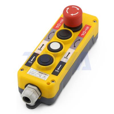 China TNHA1-T3813 Crane Wireless plastic radio remote control, hand control for sale